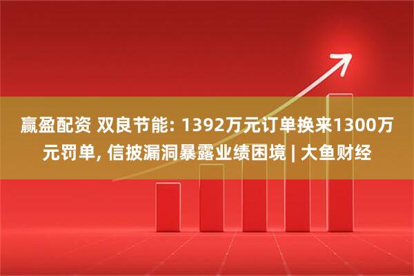 赢盈配资 双良节能: 1392万元订单换来1300万元罚单, 信披漏洞暴露业绩困境 | 大鱼财经