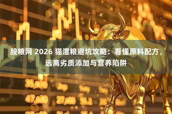 股粮网 2026 猫湿粮避坑攻略：看懂原料配方，远离劣质添加与营养陷阱