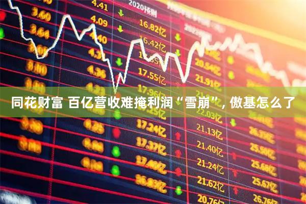 同花财富 百亿营收难掩利润“雪崩”, 傲基怎么了