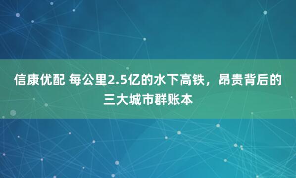 信康优配 每公里2.5亿的水下高铁，昂贵背后的三大城市群账本