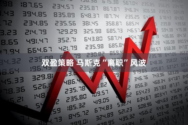 双盈策略 马斯克“离职”风波