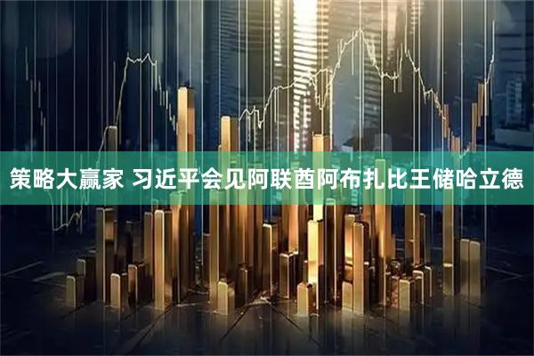策略大赢家 习近平会见阿联酋阿布扎比王储哈立德