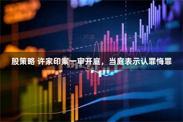 股策略 许家印案一审开庭，当庭表示认罪悔罪