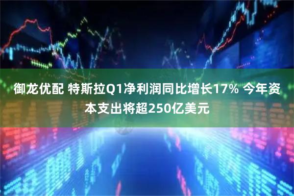 御龙优配 特斯拉Q1净利润同比增长17% 今年资本支出将超250亿美元