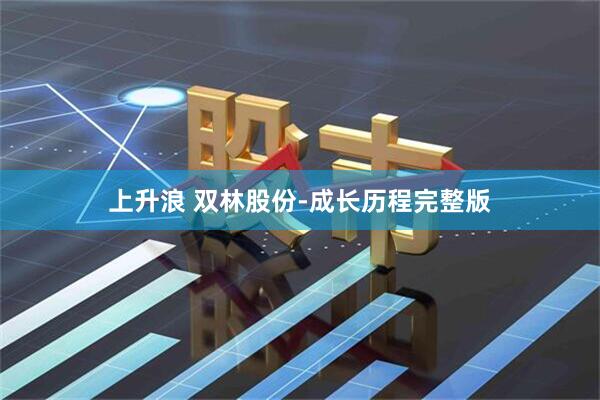 上升浪 双林股份‑成长历程完整版