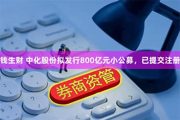 钱生财 中化股份拟发行800亿元小公募，已提交注册
