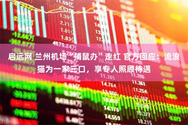启远网 兰州机场“捕鼠办”走红 官方回应:流浪猫为一家三口,享专人照顾待遇