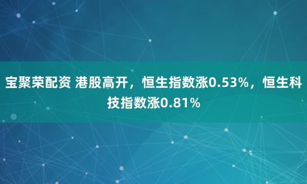宝聚荣配资 港股高开，恒生指数涨0.53%，恒生科技指数涨0.81%