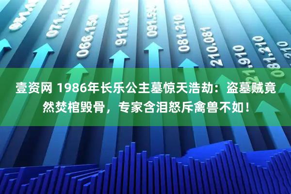 壹资网 1986年长乐公主墓惊天浩劫：盗墓贼竟然焚棺毁骨，专家含泪怒斥禽兽不如！