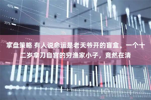 掌盘策略 有人说命运是老天爷开的盲盒。一个十二岁拿刀自宫的穷渔家小子，竟然在清