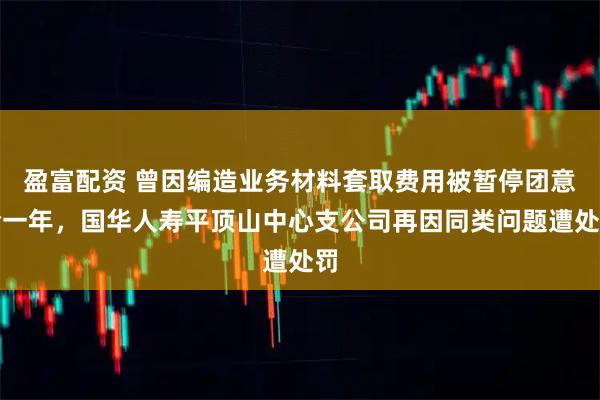 盈富配资 曾因编造业务材料套取费用被暂停团意险一年，国华人寿平顶山中心支公司再因同类问题遭处罚