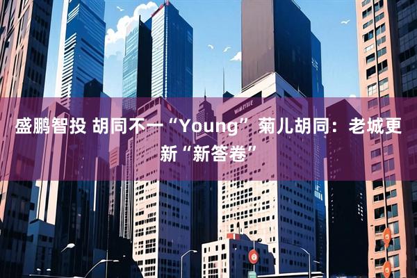 盛鹏智投 胡同不一“Young” 菊儿胡同：老城更新“新答卷”