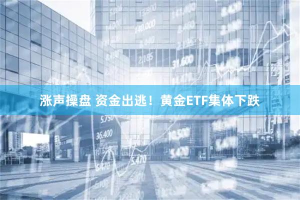 涨声操盘 资金出逃！黄金ETF集体下跌